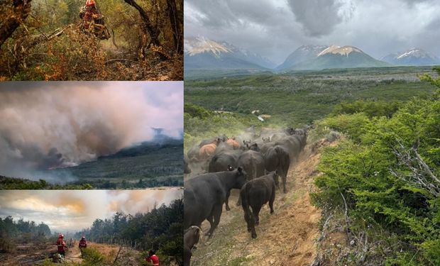 “Se quema todo”: está al frente de una estancia de 7000 hectáreas y se quiebra al contar el daño del fuego