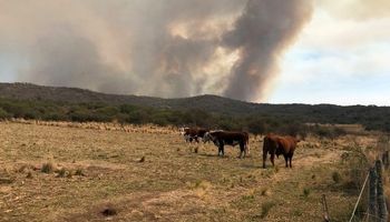 Incendios en Córdoba: persiste el fuego en el norte y hay alarma entre los productores