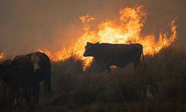 Córdoba presentó un plan para mitigar los incendios rurales que alcanzará a 7000 productores ganaderos