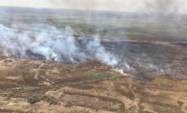 Incendios en las islas: productores ganaderos pondrán cámaras de videovigilancia cansados de que los acusen 