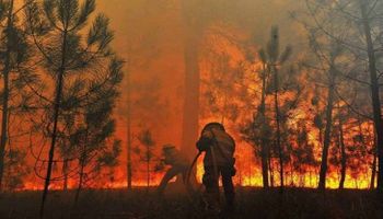 A reação do agro contra decreto que pune produtores vitimados por incêndios