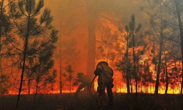 A reação do agro contra decreto que pune produtores vitimados por incêndios