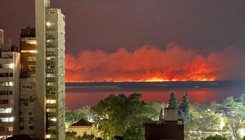 Productores explicaron que no causan el fuego en el Delta del Paraná: “Detrás de estas quemas hay ideologías políticas”