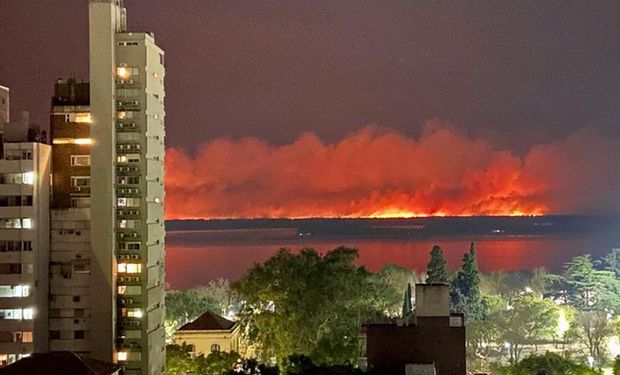 Productores explicaron que no causan el fuego en el Delta del Paraná: “Detrás de estas quemas hay ideologías políticas”