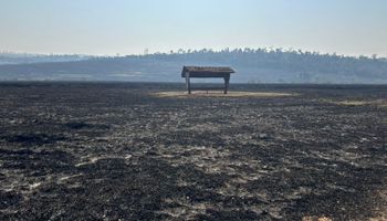 Produtor poderá captar recursos do Renovagro para recuperar área atingida por incêndios