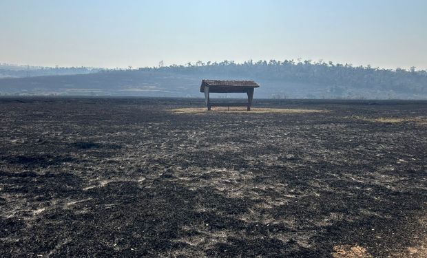 Produtor poderá captar recursos do Renovagro para recuperar área atingida por incêndios