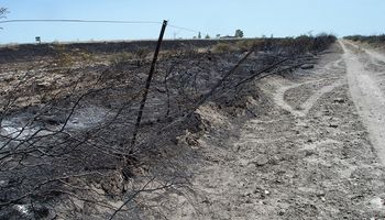 Según el INTA, los incendios en Río Negro afectaron 32 mil hectáreas