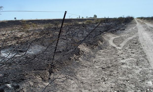 Los últimos focos detectados en Conesa ya están controlados.