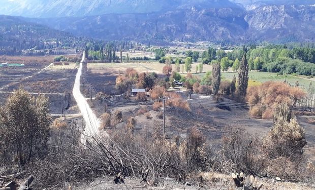 El Senado declaró zona de desastre a la Comarca Andina y el INTA asiste a productores afectados