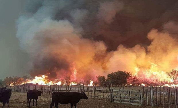 La medida fue decidida en la última reunión de la Comisión Nacional de Emergencias y Desastres Agropecuarios.