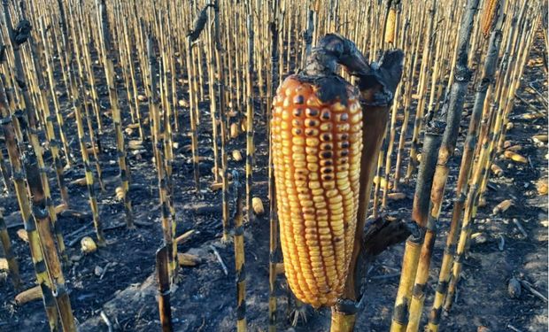 "Basta de relato": fuerte enojo en CRA porque "nada se dice sobre cómo proteger al productor primario"