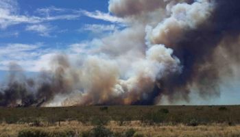 Incendios: son más de 600 mil las hectáreas afectadas