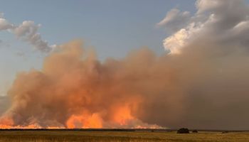 Lanzan créditos para los productores afectados por los incendios: cuáles son los requisitos y como pedir el financiamiento