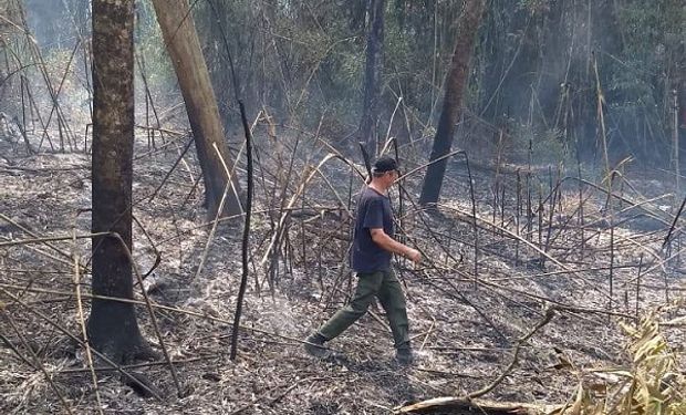 Fuente: Ministerio de Ecología de Misiones