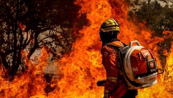 Decisão de Trump afeta o combate a incêndios no Brasil?