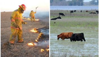 Inundaciones e incendios: suspensiones por causas de fuerza mayor en el ámbito rural