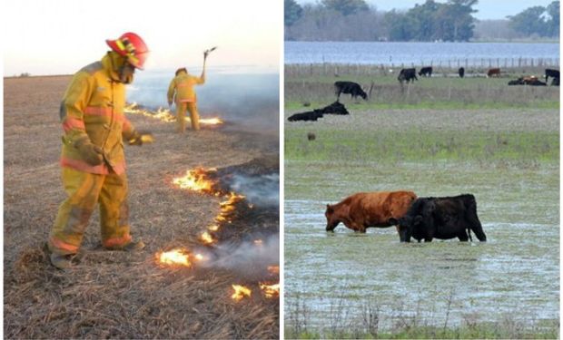 Suspensiones por causas de fuerza mayor en el ámbito rural.