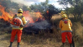 Afirman que está "contenido" el fuego en La Pampa