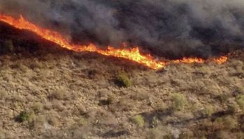 Nación acordó declarar la emergencia agropecuaria en Santa Cruz, Córdoba y Formosa