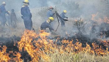 Recomendaciones sobre prevención, control y disminución de incendios rurales