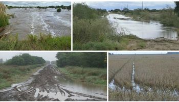 Alerta e incertidumbre entre los productores