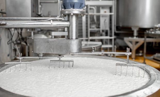 Ranking de industrias lácteas: el top five de las empresas que procesan más de un millón de litros por día