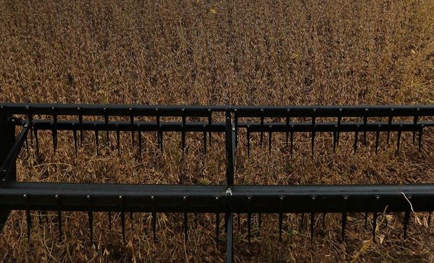 Em algumas áreas nas regiões Oeste e Sudoeste, produtores tiveram perdas de até 82% nas safras. (foto - Sistema CNA/Senar)