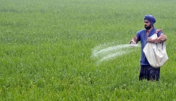 Presión para la urea: India destinará US$ 20,6 mil millones para subsidiar la compra de fertilizantes