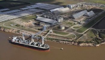 India, un nuevo escollo para la industria aceitera argentina
