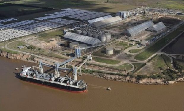 Las exportaciones de aceite de soja argentinas en 2016 totalizaron 5,7 millones de toneladas, de las cuales 2,8 millones tienen como principal destino India.