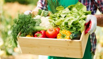 Valor das verduras caiu 17,56% em julho, diz Ceagesp