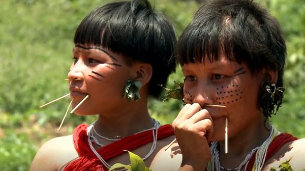 indigenas