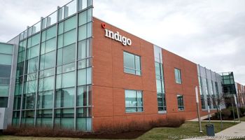Indigo vende 2,85 milhões de créditos de carbono à Microsoft em contrato de 12 anos