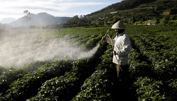Impactante: el país que quiere invertir US$ 22.000 millones en el agro para crear ocho millones de puestos de trabajo