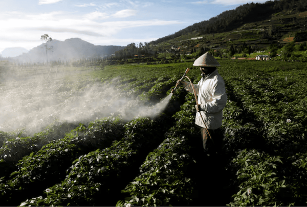 indonesia agro