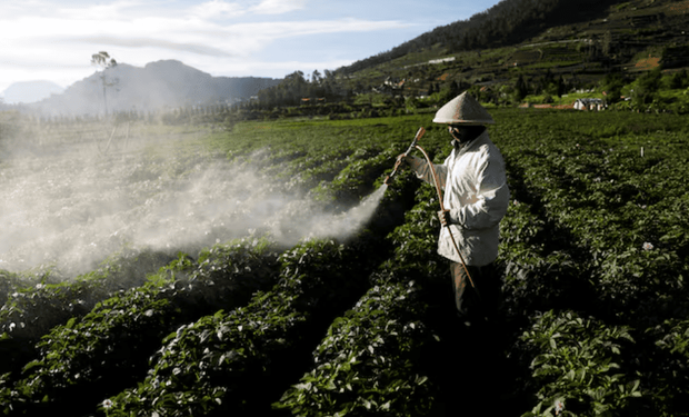 Impactante: el país que quiere invertir US$ 22.000 millones en el agro para crear ocho millones de puestos de trabajo