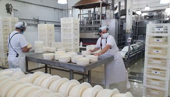 Optimismo en la lechería para 2025: empresas esperan un aumento de la producción de casi el 6 %