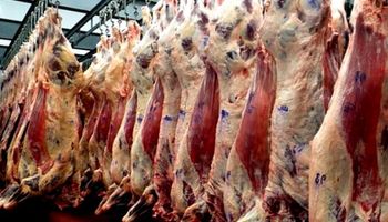 Industria de la carne en baja: en lo que va del año, cayeron la faena, la producción y la exportación