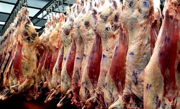 Industria de la carne en baja: en lo que va del año, cayeron la faena, la producción y la exportación