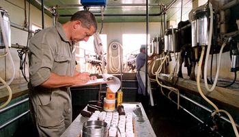 Pymes lácteas se sumarían a luchar contra el hambre con 100 puntos de venta directa