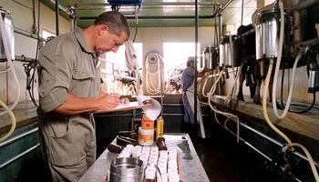 Chile apuesta a los productos lácteos argentinos tras una visita sanitaria