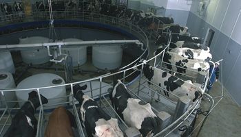 Argentina estrena un mercado de futuros de leche cruda