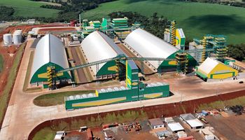 Paraná ganha nova indústria de soja de R$ 770 milhões