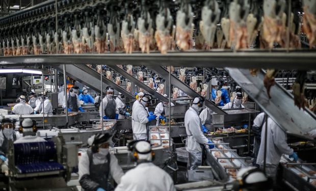 Desde 2022, o Brasil ocupa a liderança global na exportação de alimentos industrializados em volume. (Foto: Jonathan Campos / AEN)