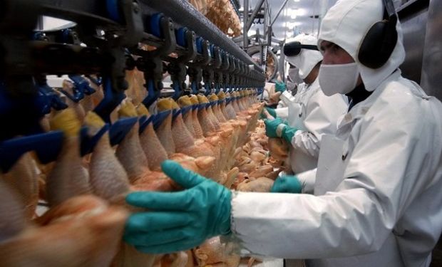 En 2020 el pollo será la carne de mayor consumo en el mundo.