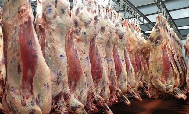 Evasión en la industria de la carne
