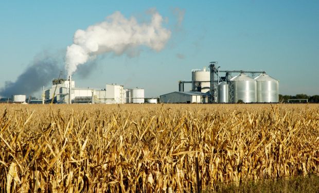 Radiografía de la crisis del etanol en medio de la pandemia