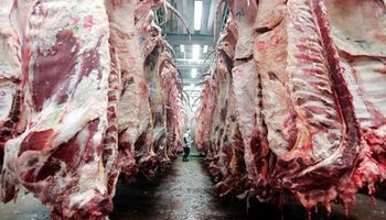 Industria de la carne: ¿Cómo recuperar competitividad?