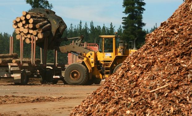 Crece el reclamo de la industria forestal.