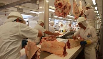 Grave: se agudiza la crisis de la industria frigorífica exportadora